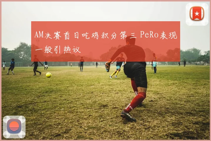 AM决赛首日吃鸡积分第三 PeRo表现一般引热议