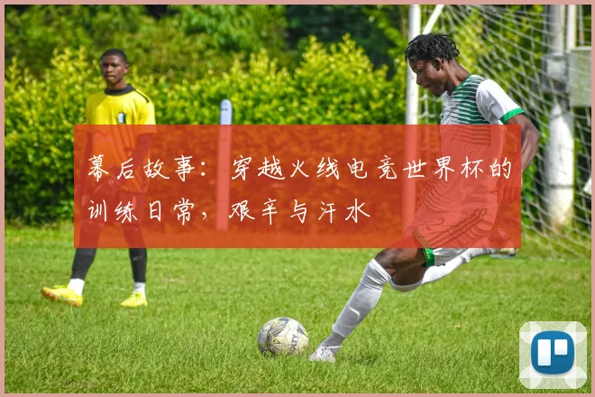 幕后故事：穿越火线电竞世界杯的训练日常，艰辛与汗水